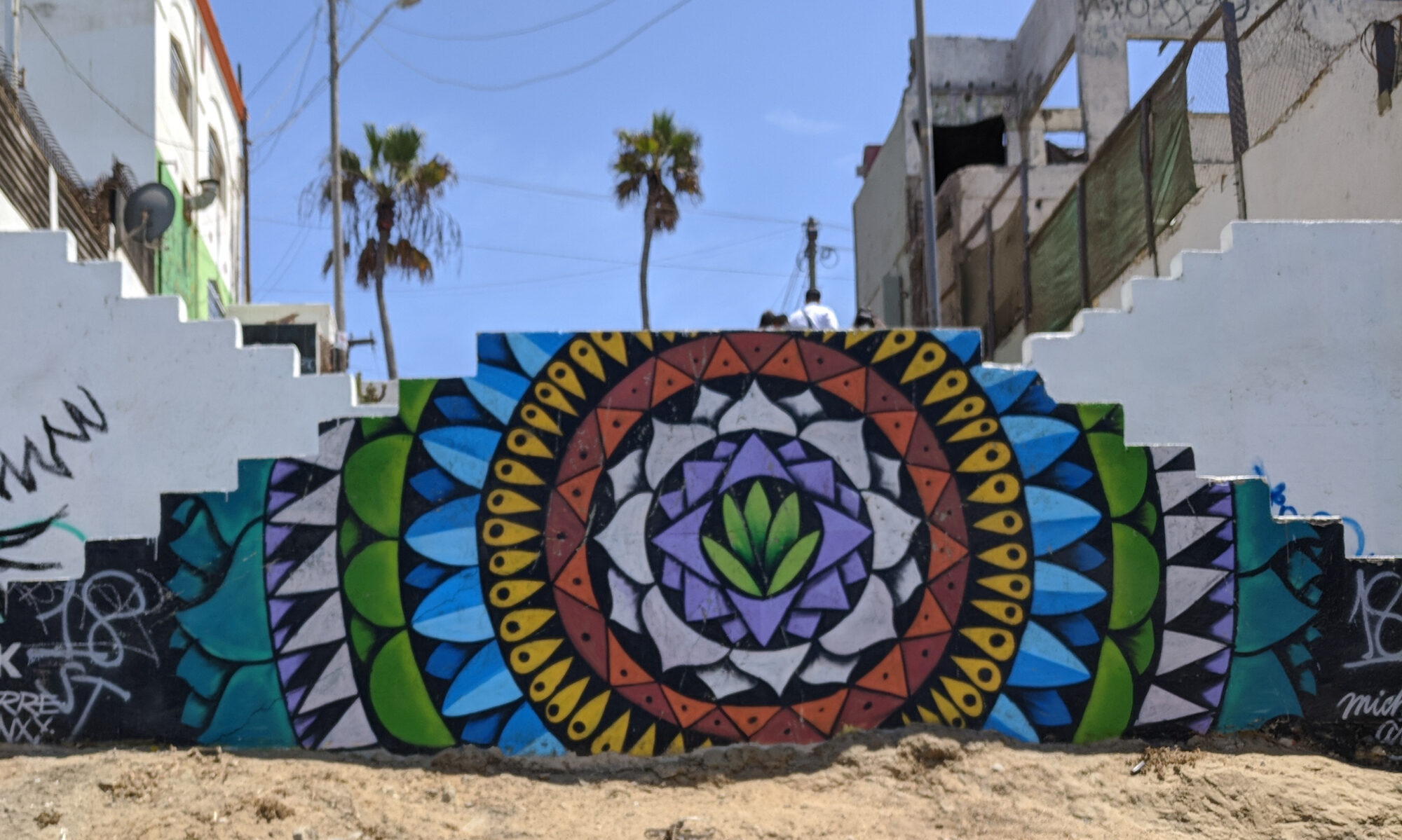 Tijuana Flower